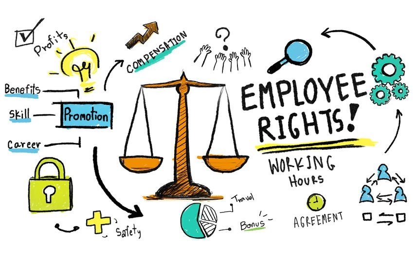 Rights of Government Employees Under Service Law legal analysis