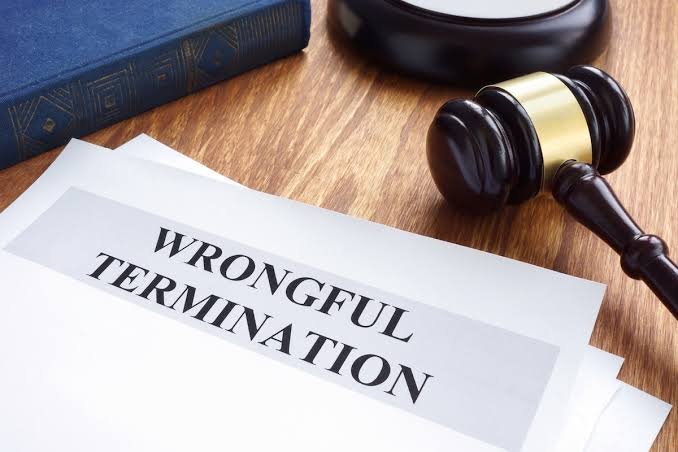 How to Challenge Wrongful Termination in Government Job legal analysis